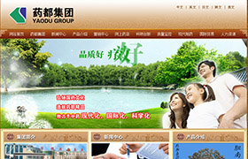 河北省安國(guó)市藥都集團(tuán)